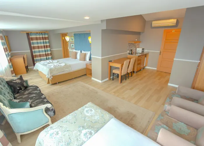 タシュコナック スタジオ スイーツ アパートホテル